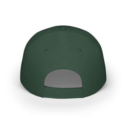 Low Profile Baseball Cap - N100