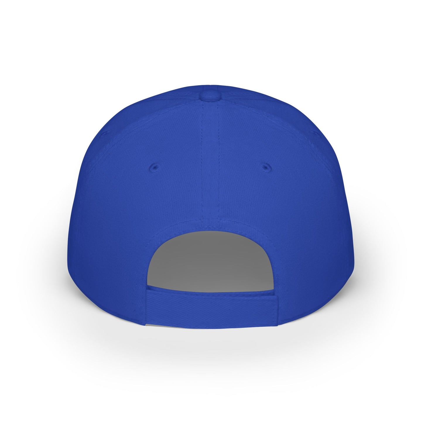 Low Profile Baseball Cap - N100