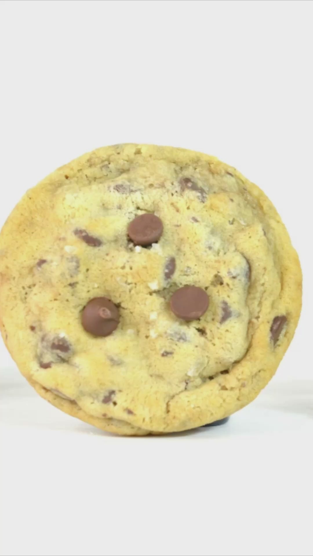 Cookie Sampler Box | Seattle's Finest Gourmet Cookies – RAY'S COOKIES